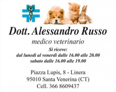 russoveterinario