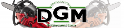 logo-dgm-960w